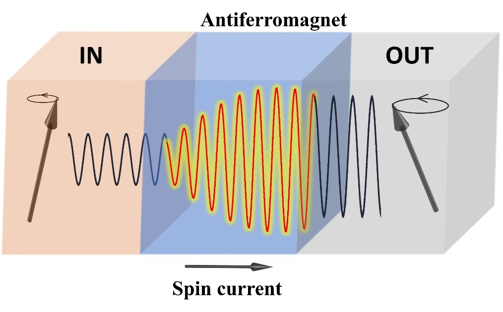 Coherent Transfer of Spin Angular Momentum by Evanescent Spin Waves
